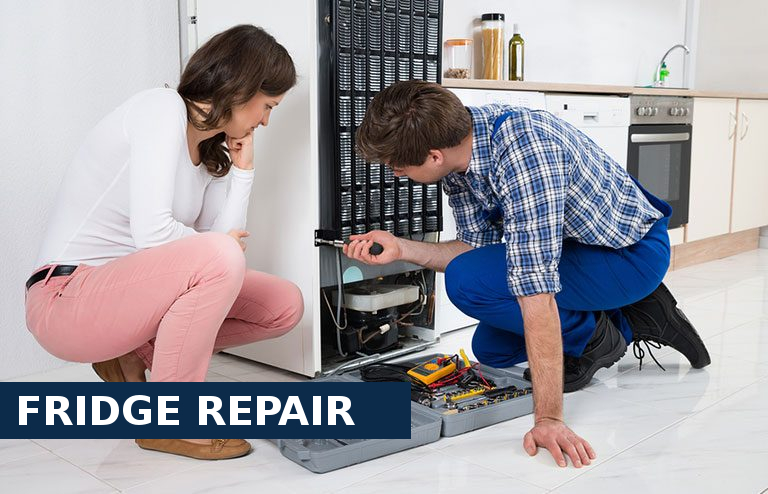 Fridge Repair Crystal Palace